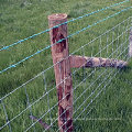 Venanza de campo de alambre de alambre tejido fijo al por mayor de zinc de servicio